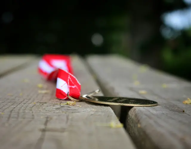 Als Siegerteam stellte sich die Gruppe  „1 Foch Stoak“ am Ende heraus.  | Foto: unsplash/Ian Murray