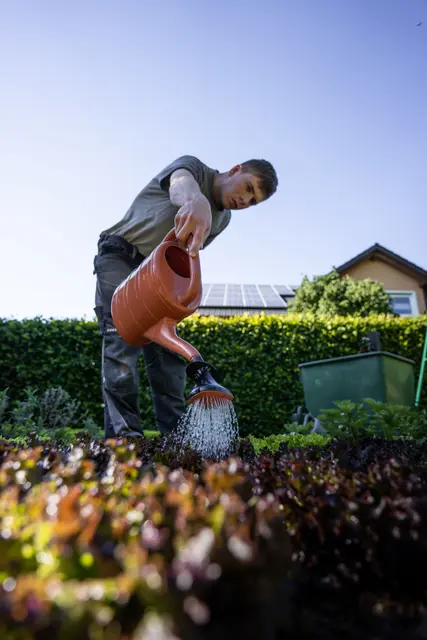 Man sollte den Boden gezielt bewässern und nicht blind Wasser über die Blätter rinnen lassen. | Foto: pexels / Tobi &amp;Chris