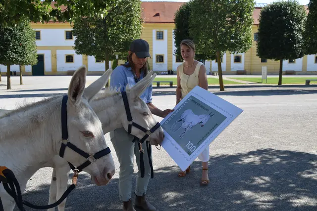 Die weißen Barockesel begutachten ihre eigene Briefmarke.  | Foto: Claudia Bräuer
