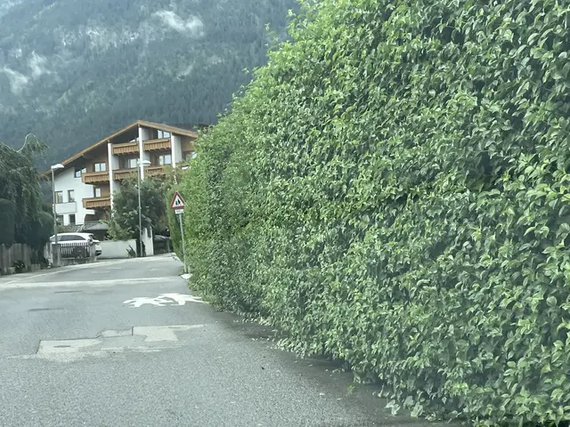 Ein privater Wachdienst übernimmt künftig die Kontrollen im gesamten Gemeindegebiet. | Foto: Kendlbacher
