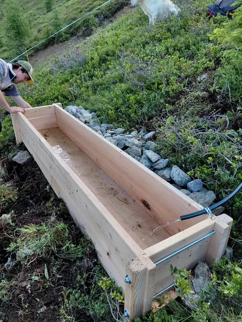 Errichtung neuer Wassertröge auf der Fendler Alm. | Foto: Gottlieb Mark