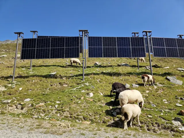 Bei dem Projekt kommt die von HTB patentierte Unterkonstruktion für PV-Panele zum Einsatz. | Foto: Kühtai Solar