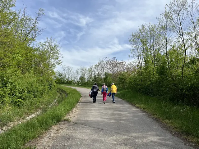 Gut-Tut-Wanderwege sind in Gänserdorf sehr beliebt.  | Foto: Gemeinde