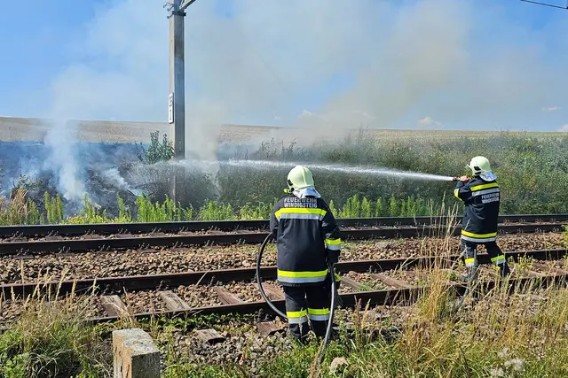 Löscharbeiten der FF Windigsteig | Foto: FF Windigsteig