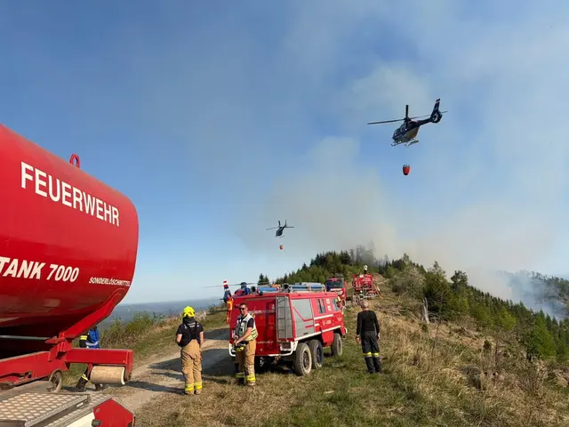 17 Tage lang haben über 2.500 Einsatzkräfte den Waldbrand im Ortsteil Eisbach-Rein in der Marktgemeinde Gratwein-Straßengel bekämpft. | Foto: FF Gössendorf