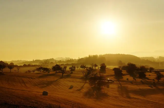 Bis zu 39 Grad: Der Sommer zeigt weiter seine heiße Seite. | Foto: Pexels (Symbolbild)