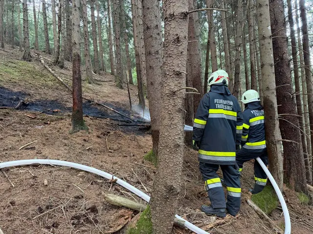 Am frühen Donnerstagmorgen wurden drei Feuerwehren zu einem beginnenden Waldbrand in Trebesnig-Bad alarmiert. | Foto: ÖA Abschnitt Lieser-/Maltatal