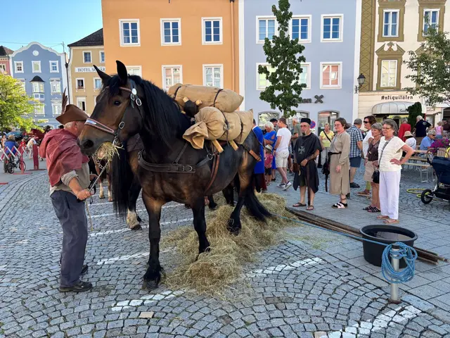 Foto: Franz Gruber