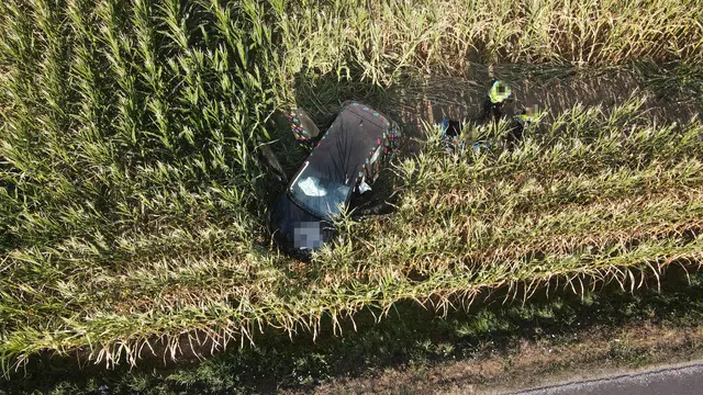 Der "Joyride" endete in einem Maisfeld. | Foto: laumat/Christian Schürrer