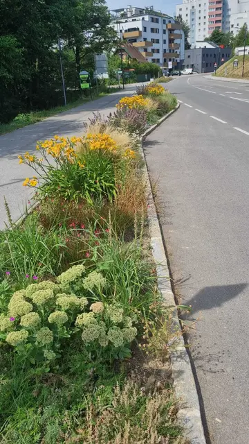 Foto: Ingrid Burtscher