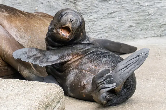 Foto: Daniel Zupanc