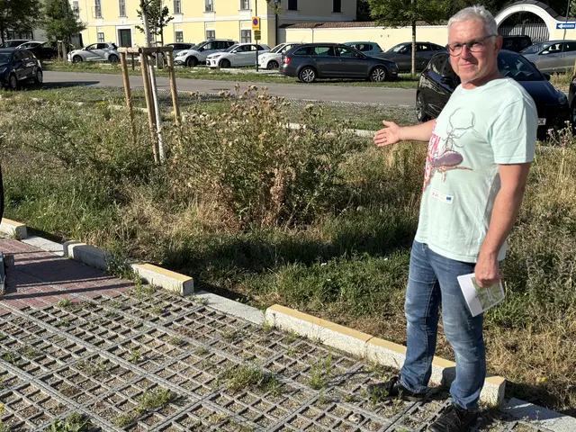 Die Zahl der Stellflächen wurde erhalten, gleichzeitig 22 neue Bäume gepflanzt: Umweltgemeinderat Andreas Weiss am Johannesplatz. | Foto: Hirss