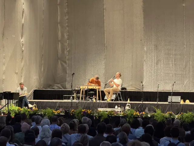 Simon Zöchbauer auf der Zither und Frédéric Alvarado-Dupuy auf der Zither überzeugten auch als Duo. | Foto: MeinBezirk/Thomas Geineder