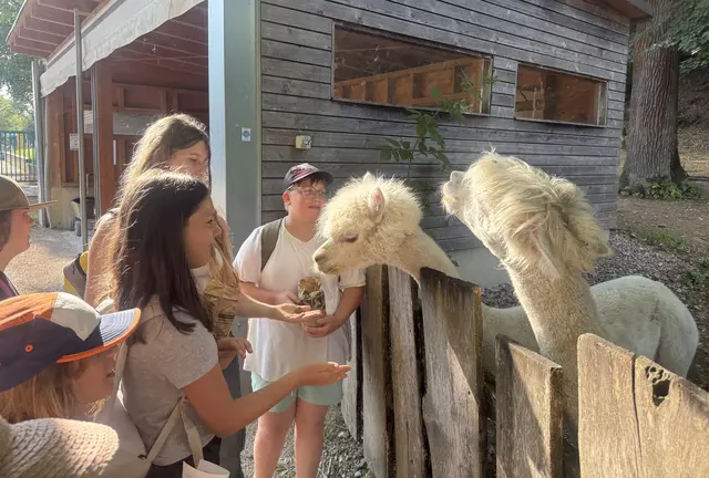 Die Kinder aus St. Valentin erlebten einen aufregenden und unvergesslichen Tag im Tierpark Haag.  | Foto: Sport/Mittelschule St. Valentin