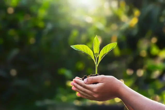 Kärnten kommt beim Klimaschutz voran (Symbolfoto) | Foto: stock.adobe.com/at/lovelyday12