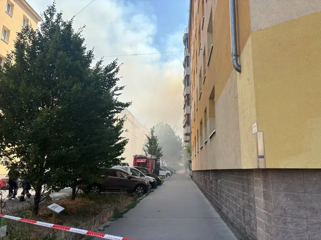 Foto: Ronja Reidinger/MeinBezirk