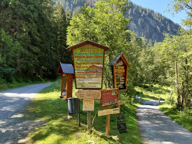 Zu den Astenalmen | Foto: H.Bachinger