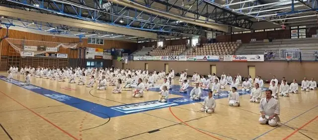 Um die 200 Karatek aus ganz Österreich nahmen teil. | Foto: Gemeinde Rechnitz