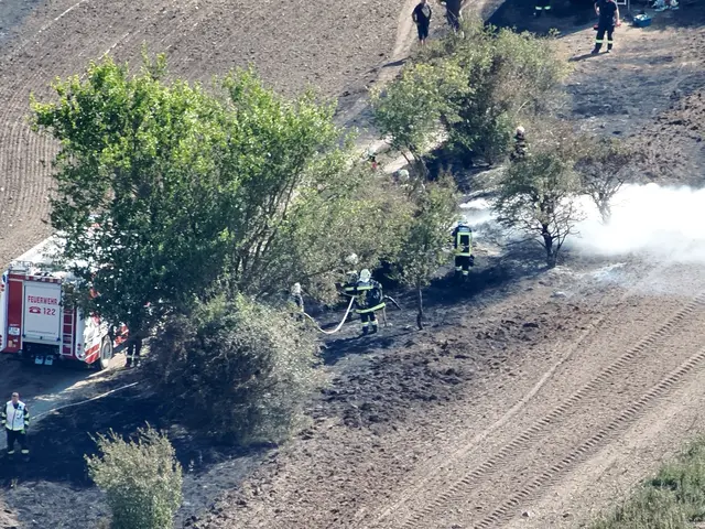 In der Siegendorfer Puszta brannte eine Fläche von rund vier Hektar. | Foto: FF Rust
