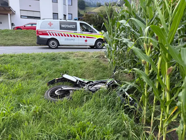 Ein 15-jähriger Mopedfahrer kam in Wiesing von der Straße ab und stürzte in ein Maisfeld. | Foto: ZOOM.TIROL