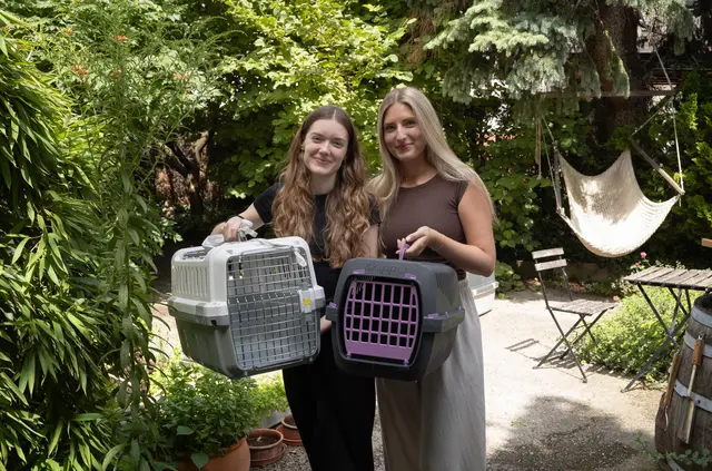 Leonie und Nina wollen gemeinsam mit ihrer Mama die Streuner einfangen. | Foto: Santrucek