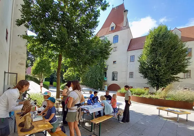 Ferienspaß im Nationalpark Donau-Auen. | Foto: Hlavac