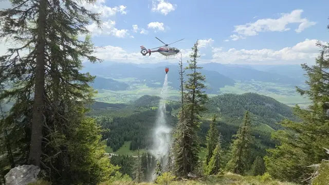 Aus dem Archiv: Ende Mai standen mehrere Einsatzorganisationen bei einem Waldbrand in Tausing, Bezirk Liezen, im Einsatz.  | Foto: FF Wörschach