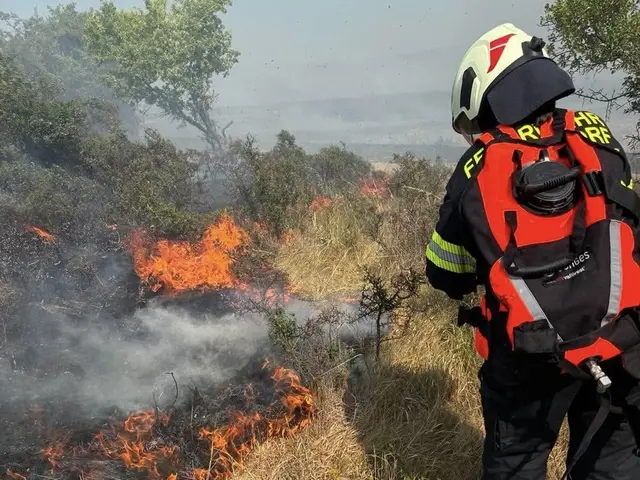Elf Feuerwehren standen bei einem grenzüberschreitenden Flurbrand an der Siegendorfer Puszta im Einsatz. | Foto: FF Siegendorf