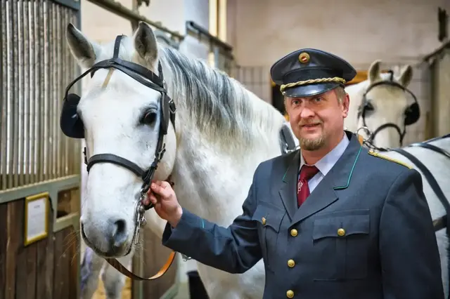 Gestütsleiter Erwin Movia sieht die nächste Hitzewelle mit Sorge. | Foto: Lipizzanergestüt Piber/SRS