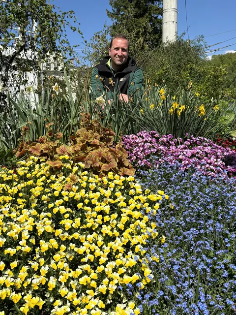 Stadtgärtner Josef Wanka hier bei einem Foto mit der Frühlingsauspflanzung.  | Foto: Lisa Gold