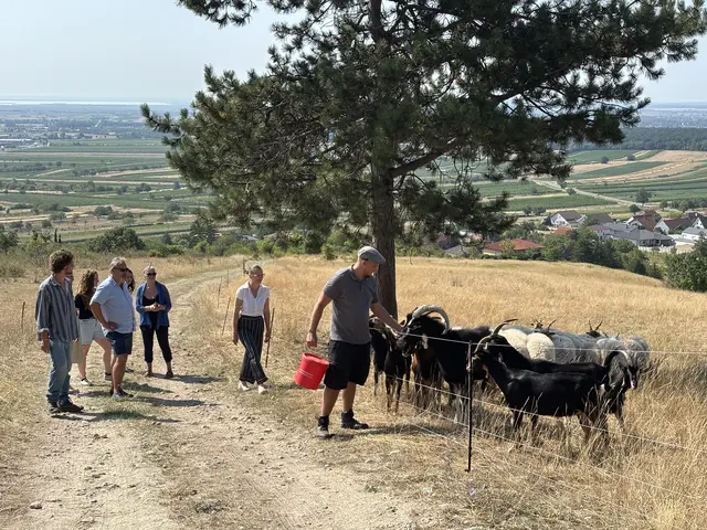 Foto: Dorottya Fejes/MeinBezirk