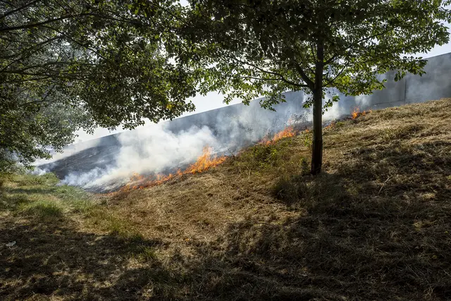 Foto: Manfred Wimmer, BFKDO Krems/Donau