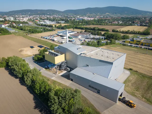 Das Biomasseheizkraftwerk in Baden wird zukünftig auch die Gemeinden Sooß, Bad Vöslau, Kottingbrunn, Leobersdorf und Hirtenberg mit Wärme versorgen. | Foto: EVN / Nadine Studeny