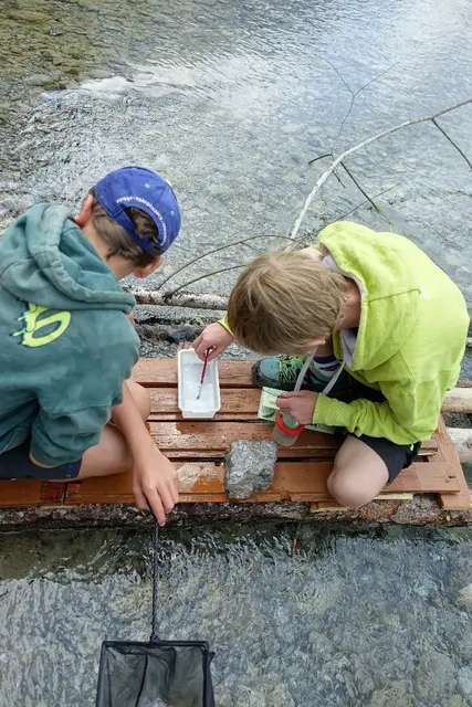 Mit großem Interesse erforschten die angehenden Junior Ranger das Leben unter Wasser, wie Fische und Wasserinsekten. | Foto: Naturpark Tiroler Lech
