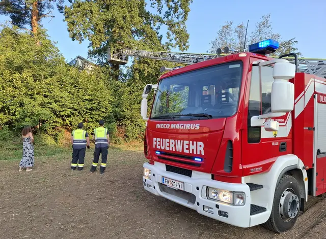 Mittels Drehleiter wurde der Kater aus acht Metern Höhe gerettet. | Foto: HFW Villach