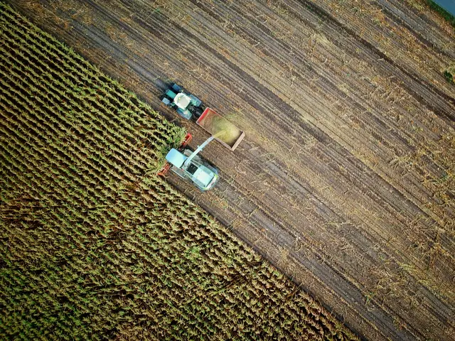 Der Klimawandel und anhaltende Trockenheit setzen der Landwirtschaft im Nordburgenland zunehmend zu.  | Foto: unsplash / no one cares