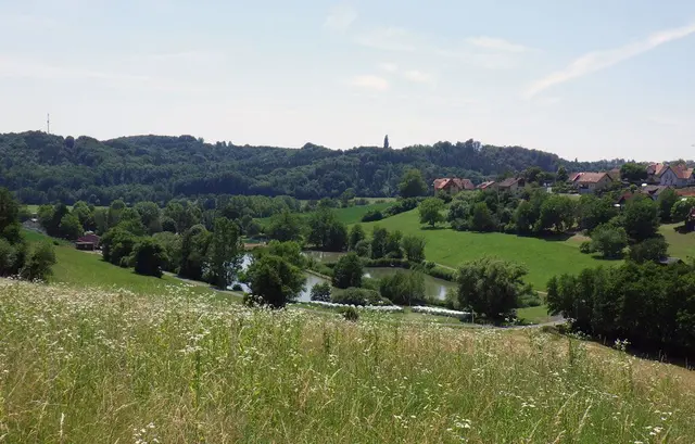 Das unbebaute Einsiedlerbachtal, ein wertvolles Feuchtbiotop soll verbaut werden. | Foto: W. Preitler