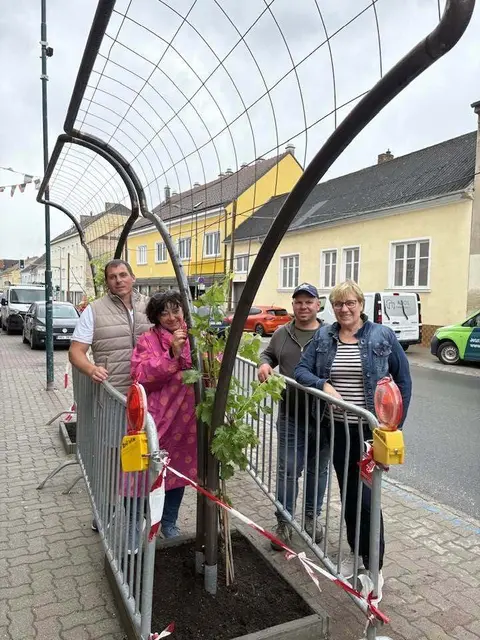 Mehr Grün statt Beton: Mistelbach macht sich fit gegen die Hitze.
