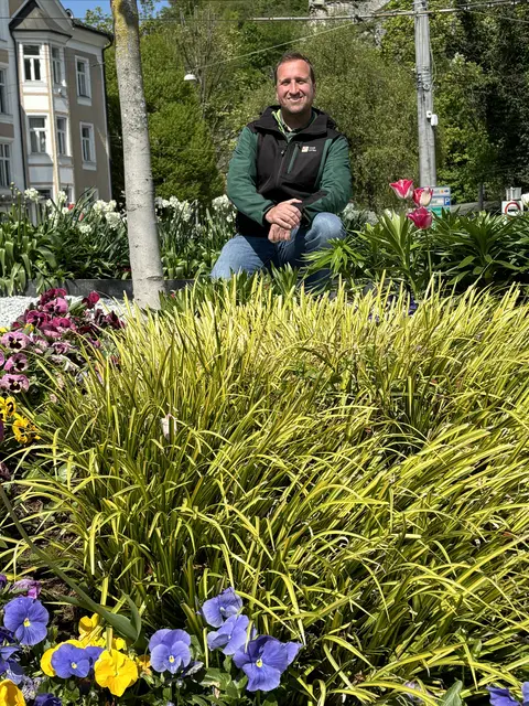 Stadtgärtner Josef Wanka hier bei einem Foto mit der Frühlingsauspflanzung.  | Foto: Lisa Gold