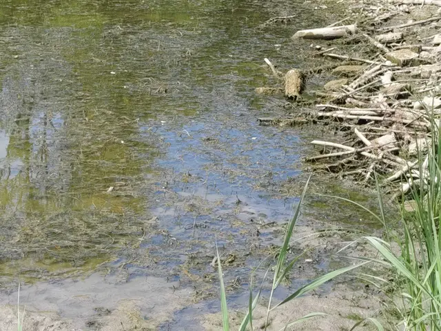 Ans Fischen denkt hier keiner mehr. | Foto: Sadiki-Peckary