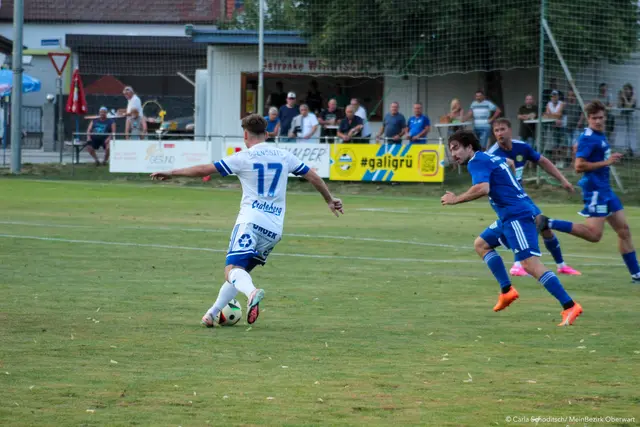 Foto: Carla Schoditsch