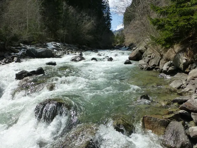 Ein Pkw stürzte in St. Jakob in Defereggen nach einer Kollision in die Schwarzach. (Symbolbild) | Foto: WWF