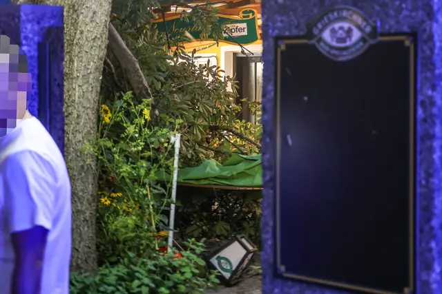 Im Gasthaus Neustadt im gleichnamigen Welser Stadtteil stürzte ein Kastanienbaum aufgrund von Sturmwind auf die Gäste. | Foto: laumat.at