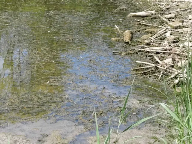 Ans Baden denkt hier keiner mehr. | Foto: Sadiki-Peckary