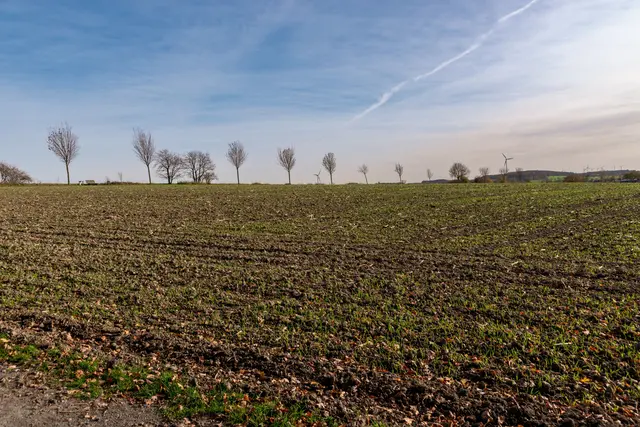 Symbolbild. | Foto: pexels / Sergej *****