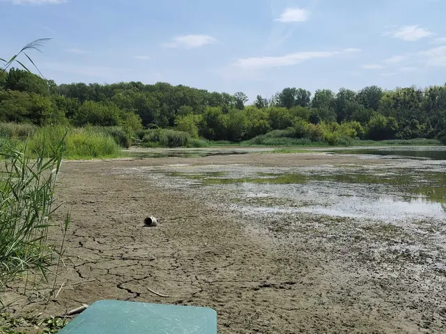 Die Trockenheit ist für jeden bemerkbar. Wo einst Wasser war, ist nun Morast.  | Foto: Rebekka Sadiki-Peckary