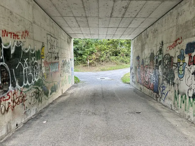 Dieser Tunnel in Gröbming lockt tatsächlich Touristinnen und Touristen an – wegen ein paar nicht ganz ernst gemeinter Rezensionen auf Google. | Foto: MeinBezirk/Christoph Schneeberger