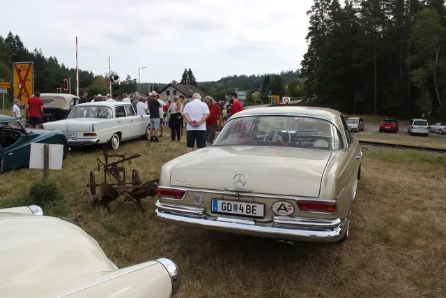 Foto: Walter Kellner