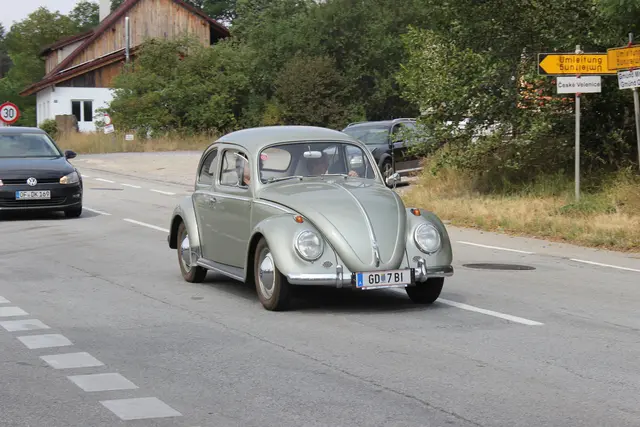 Foto: Walter Kellner