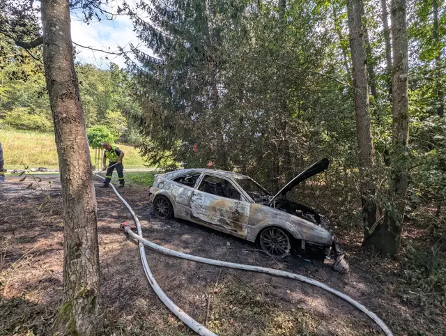 Foto: Bezirksfeuerwehrkommando Güssing